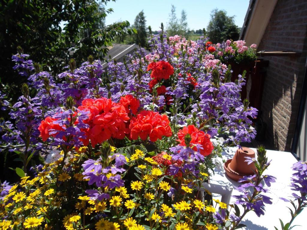 Hof Van Lutten Bed & Breakfast Dış mekan fotoğraf